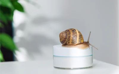 Snail Mucin 101: The Ultimate Guide